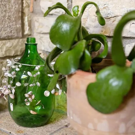 Appartamento Stone House With Garden Near The *